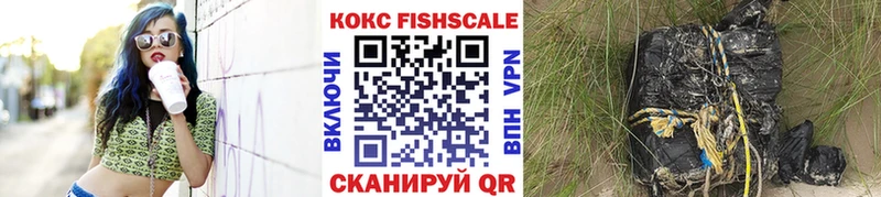 наркошоп  Вилючинск  COCAIN Fish Scale 
