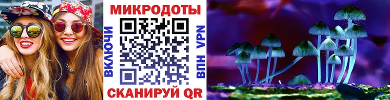 цены наркотик  Вилючинск  Галлюциногенные грибы Psilocybe 